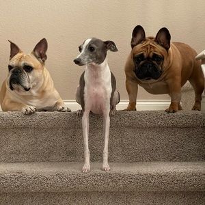 Meet your Posher, Aimee